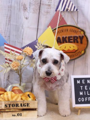 20240914ボルトくん